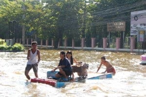 Thai News and Vocabulary