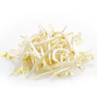 ถั่วงอก bean sprouts