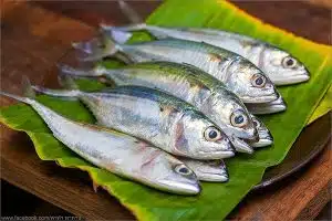 Mackerel Fish for Yellow Thai Curry | Thai Food