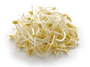 Bean Sprouts for Thai Salad