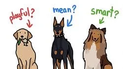 Thai Dog Vocabulary | Learn Thai 